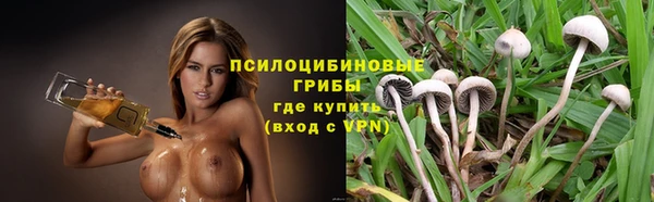 индика Майский