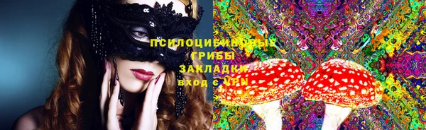 индика Майский