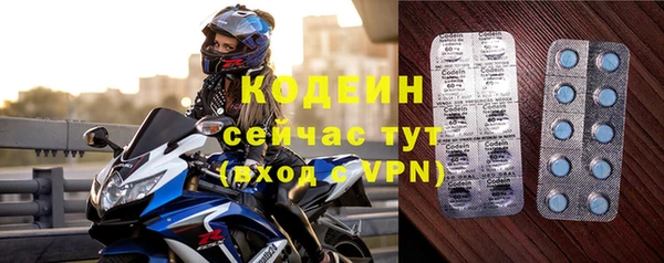 индика Майский