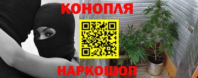 прущие крисы Донецк
